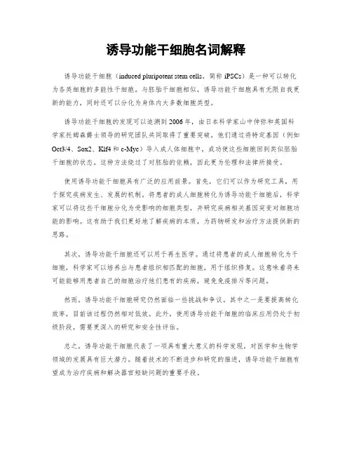 诱导功能干细胞名词解释