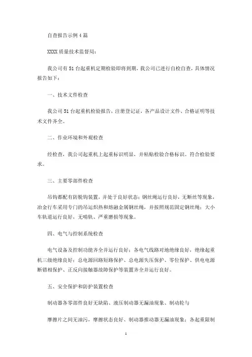 最新自查报告示例