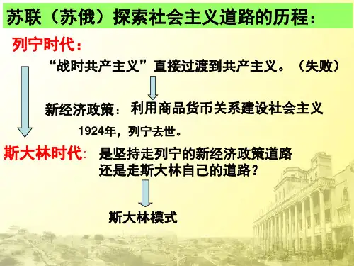 斯大林模式的社会主义建设道路