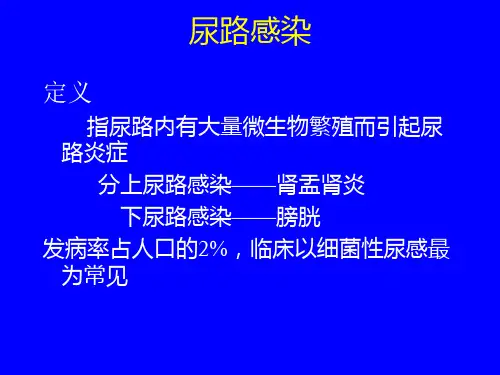 尿路感染 - 丁香园—医学药学生命科学专业网站