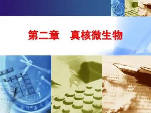 02 第二章 真核微生物