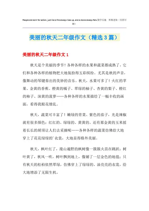 美丽的秋天二年级作文(精选3篇)
