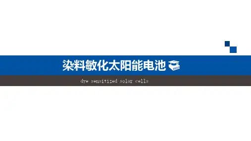 染料敏化太阳能电池材料