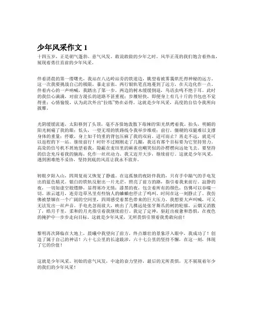 少年风采作文