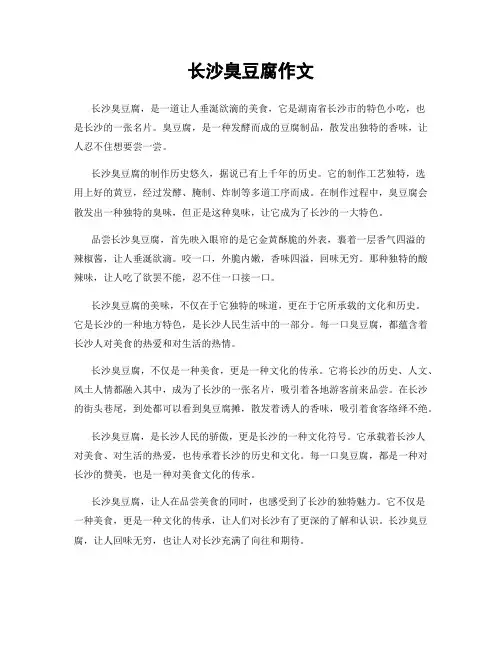 长沙臭豆腐作文