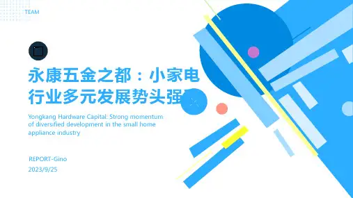 2023年五金之都永康：小家电行业呈多元发展趋势报告模板