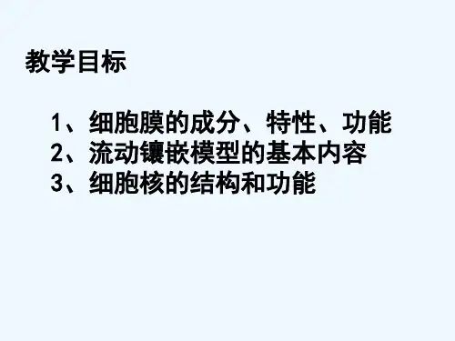细胞膜于与细胞核一轮复习专业课件