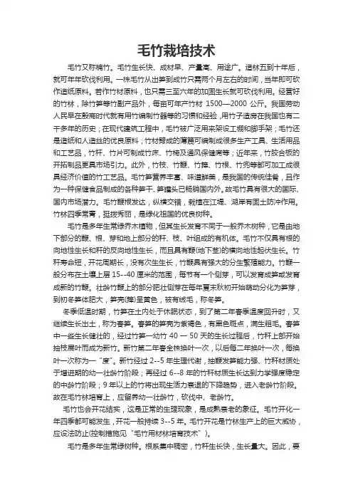 毛竹栽培技术