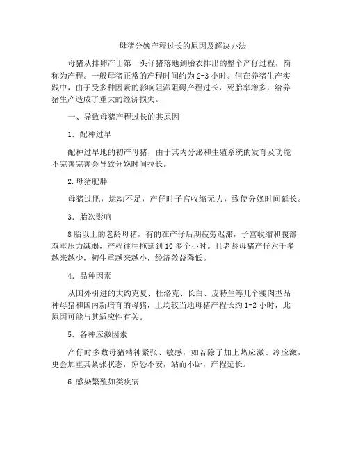 母猪分娩产程过长的原因及解决办法