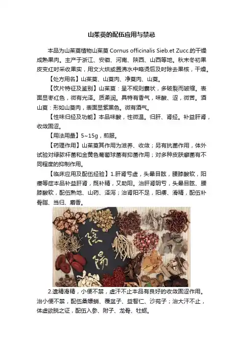 山茱萸的配伍应用与禁忌