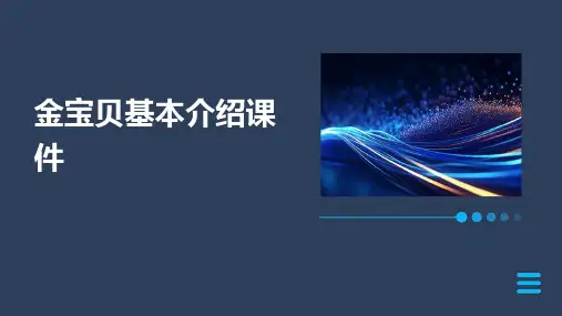 金宝贝基本介绍课件