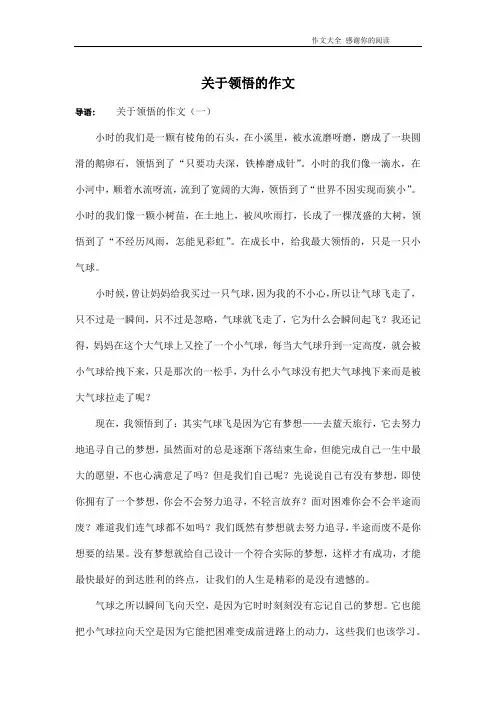 关于领悟的作文