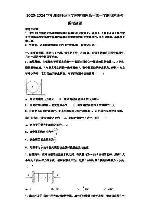 2023-2024学年湖南师范大学附中物理高三第一学期期末统考模拟试题含解析