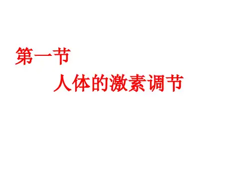 济南版生物七下3.5.1人体的激素调节(课件)(共20张PPT)