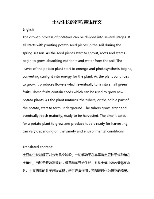 土豆生长的过程英语作文