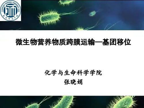 基团移位机制
