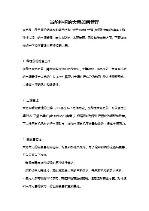 当前种植的大蒜如何管理