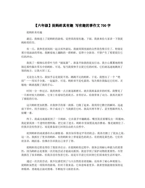 【六年级】捉蚂蚱真有趣 写有趣的事作文700字