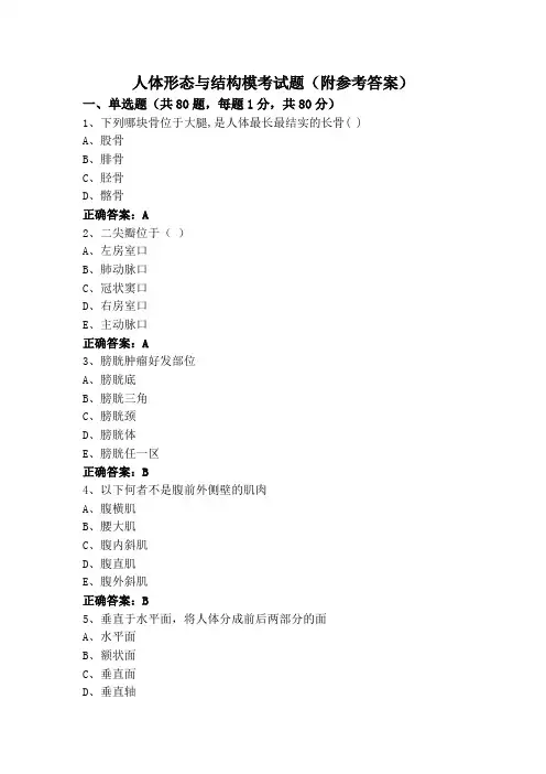 人体形态与结构模考试题(附参考答案)