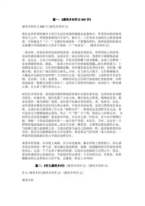 感受乡村作文