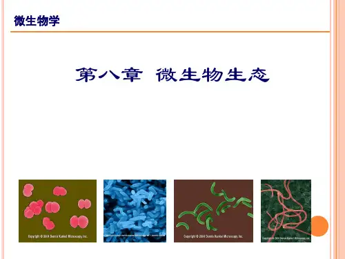 8.2 微生物与生物环境间的关系(互生、寄生和拮抗)