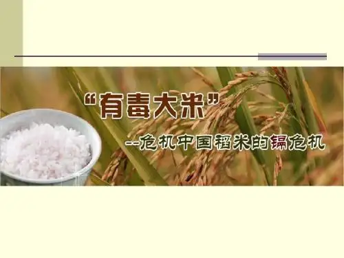 形势与政策镉米