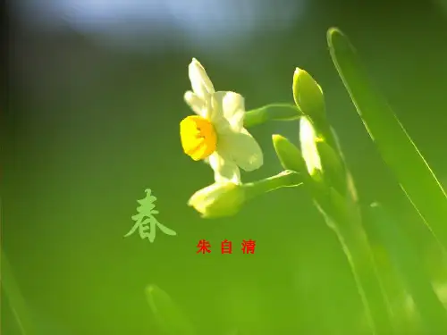 人教版 初一语文七年级上册ppt课件《春》