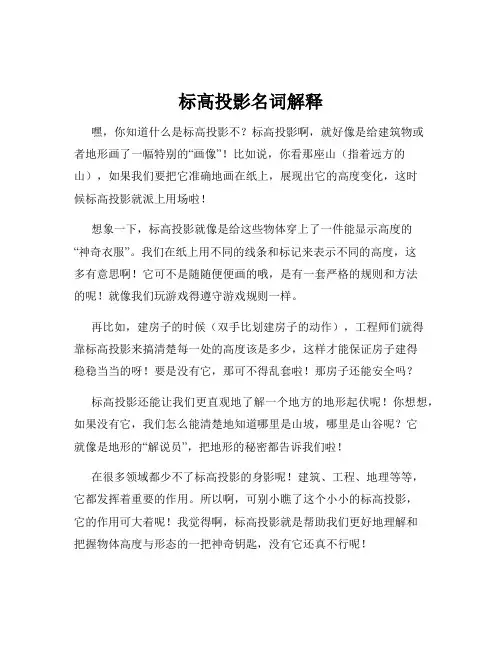 标高投影名词解释