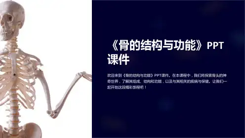《骨的结构与功能》课件