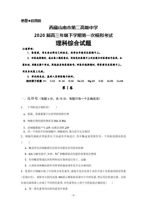 西藏山南市第二高级中学2020届高三下学期第一次模拟考试理科综合试题及答案