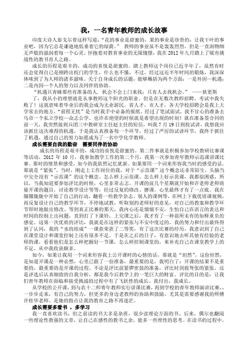 我_一名青年教师的成长历程