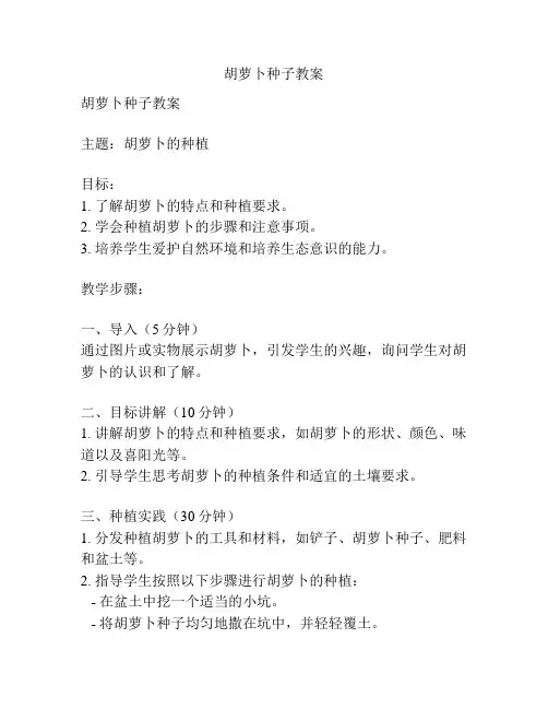 胡萝卜种子教案