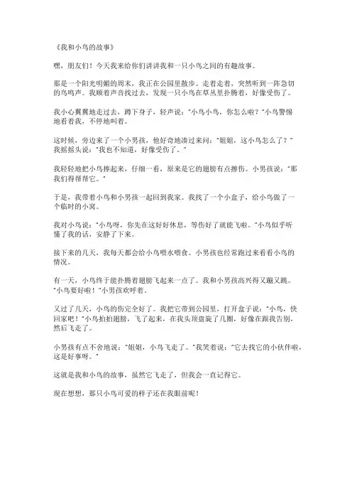 我和小鸟的故事