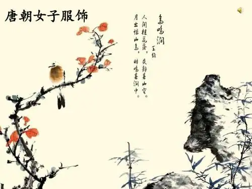 唐朝女子服饰剖析