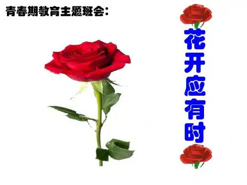 花开应有时