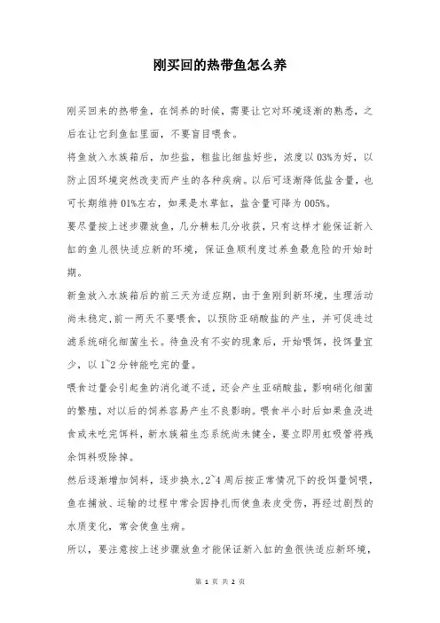 刚买回的热带鱼怎么养