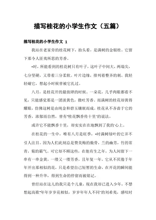 描写桂花的小学生作文(五篇)