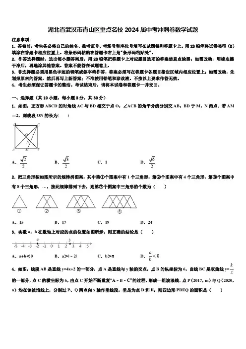 湖北省武汉市青山区重点名校2024届中考冲刺卷数学试题含解析
