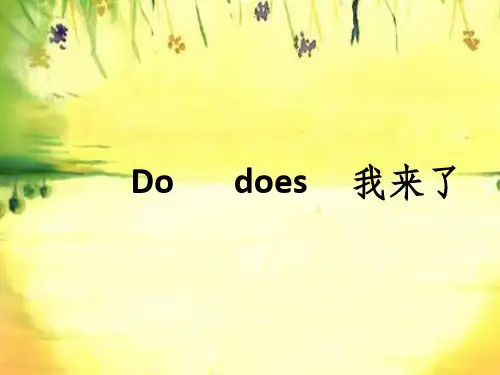 do和does的用法及区别