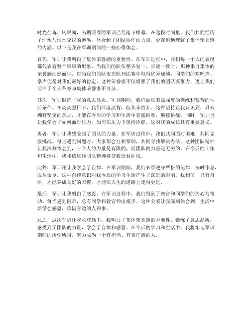 集体荣誉感军训心得体会