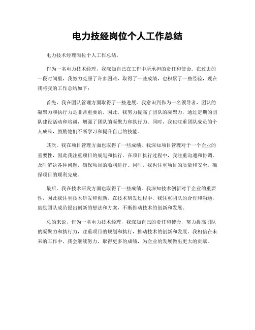 电力技经岗位个人工作总结