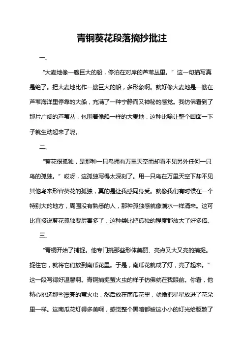 青铜葵花段落摘抄批注
