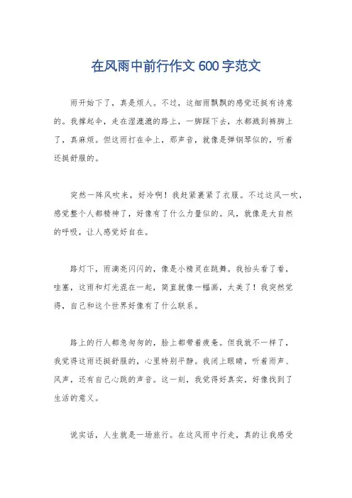 在风雨中前行作文600字范文