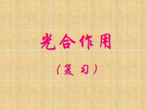 光合作用高三生物复习名师精编课件 新课标 人教版