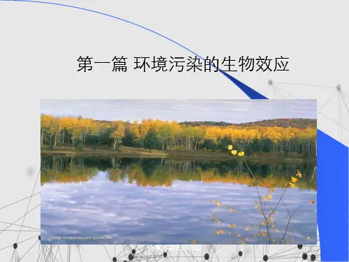 环境污染生物效应