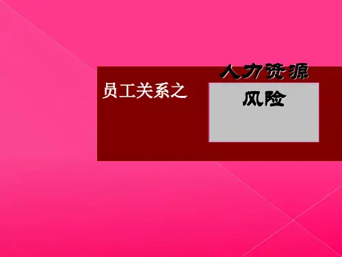 人力资源风险培训课件(PPT-55张)