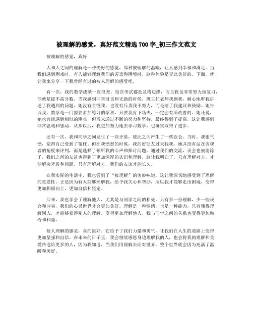 被理解的感觉,真好范文精选700字_初三作文范文