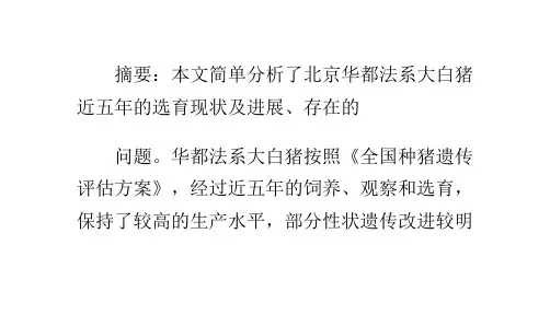 法系大白猪选育总结