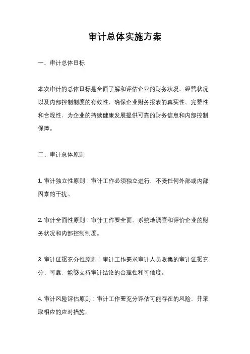 审计总体实施方案