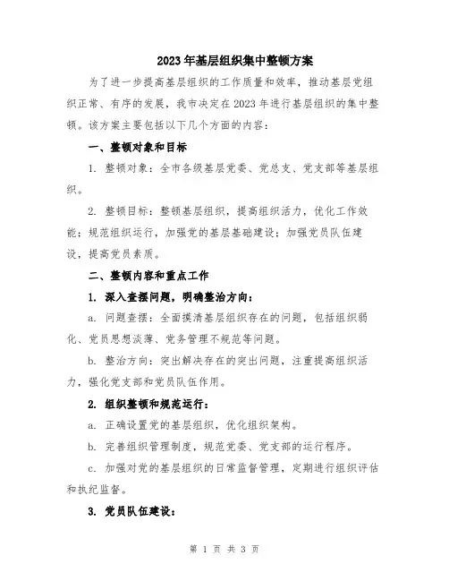 2023年基层组织集中整顿方案